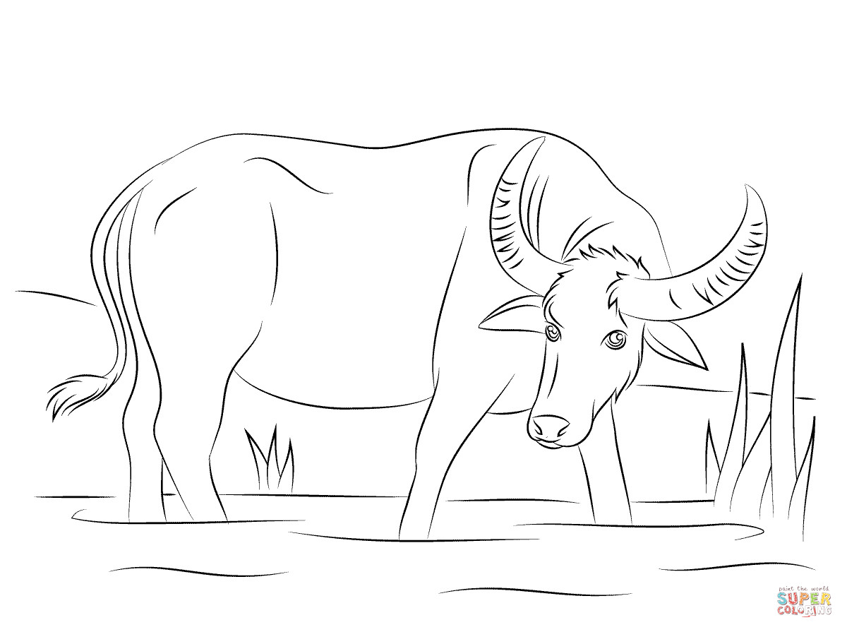 Coloring Pages For Boys Bufulo
 Water Buffalo coloring page