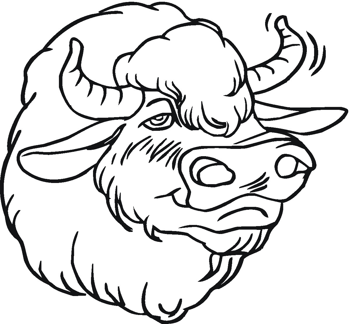 Coloring Pages For Boys Bufulo
 Free Buffalo and Bison Coloring Pages