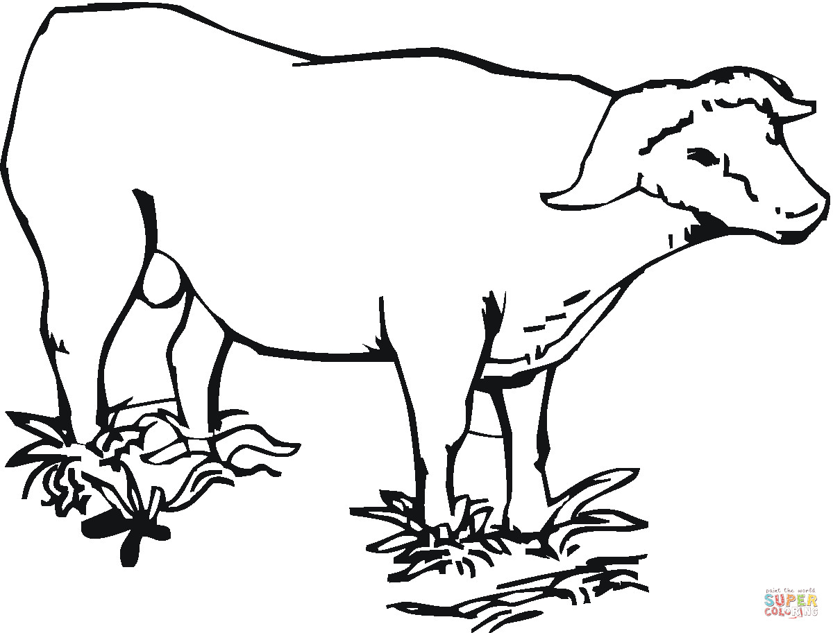 Coloring Pages For Boys Bufulo
 Cape african buffalo coloring page