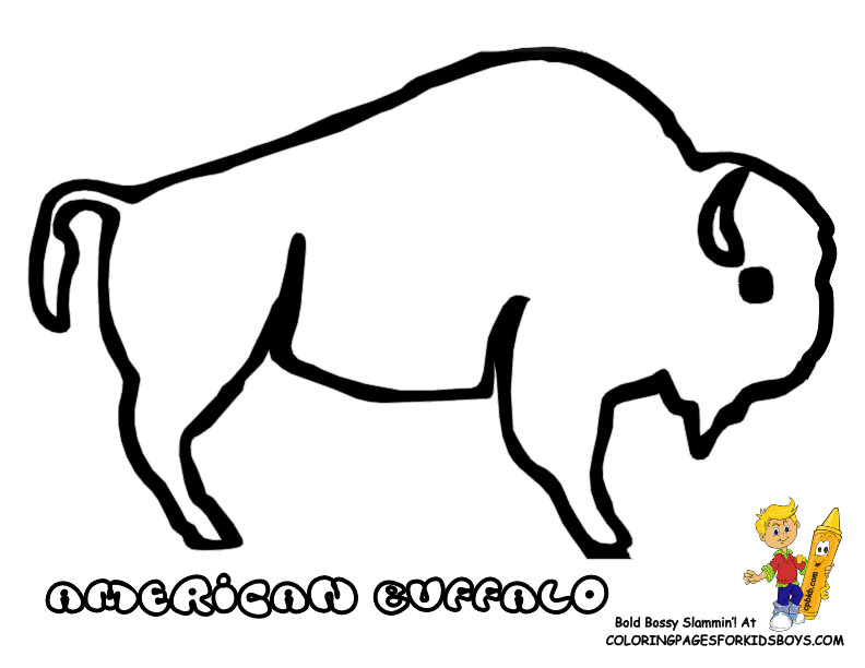 Coloring Pages For Boys Bufulo
 Coloring Pages Buffalo Coloring Home