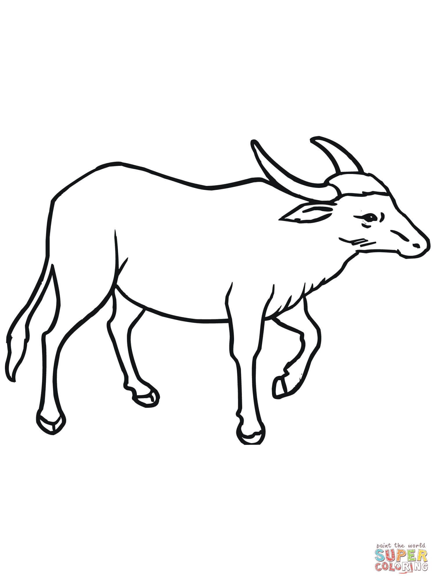 Coloring Pages For Boys Bufulo
 Buffalo Outline Coloring Home