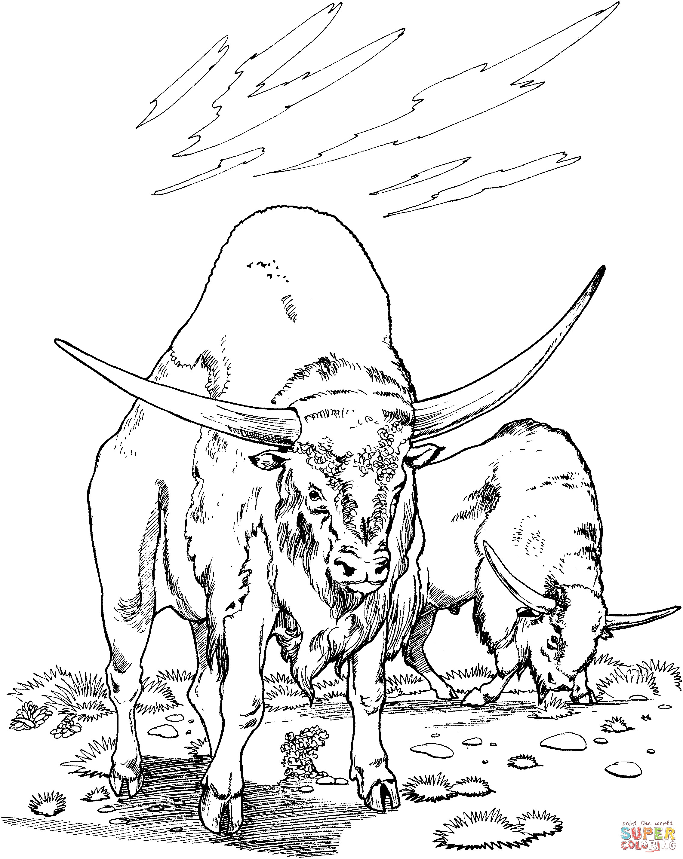 Coloring Pages For Boys Bufulo
 Water Buffalo Coloring Page Coloring Home