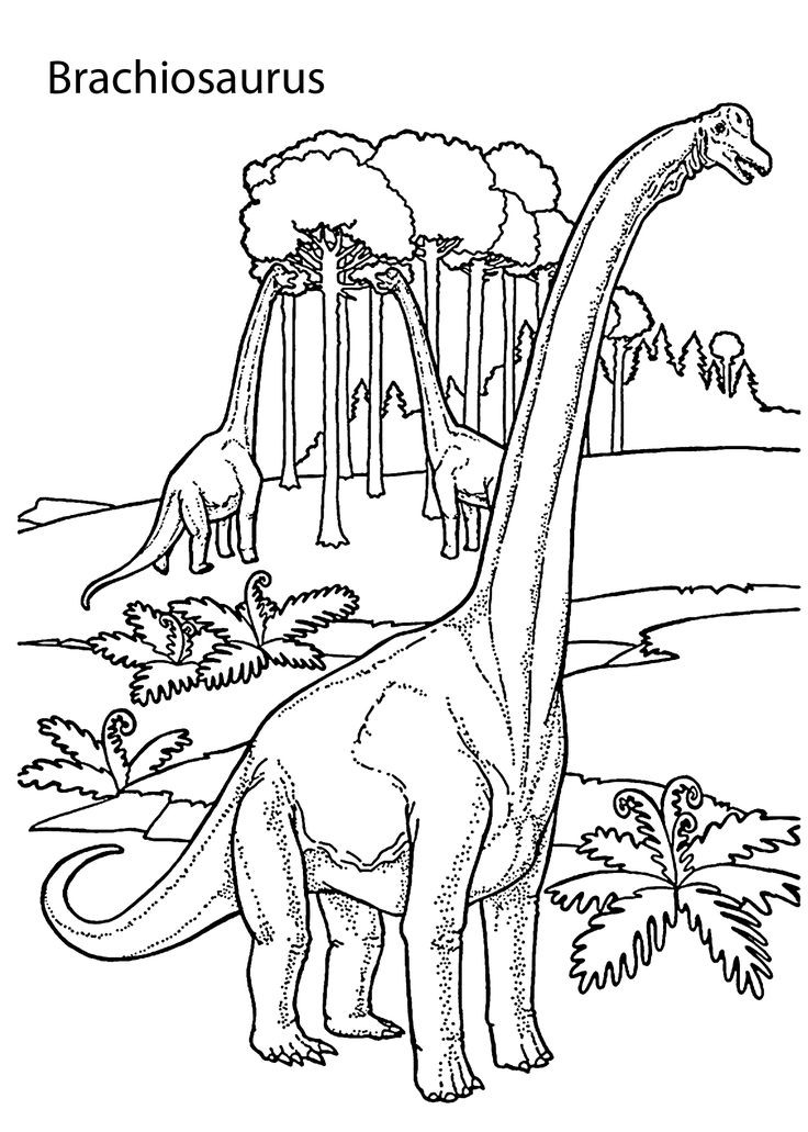 Coloring Pages For Boys Dinosaur
 Brachiosaurus realistic dinosaurs coloring pages for kids