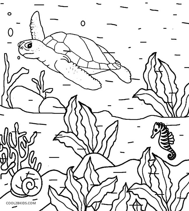 Coloring Pages For Boys Nature
 Printable Nature Coloring Pages For Kids