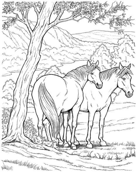 Coloring Pages For Boys Nature
 Coloriages Chevaux