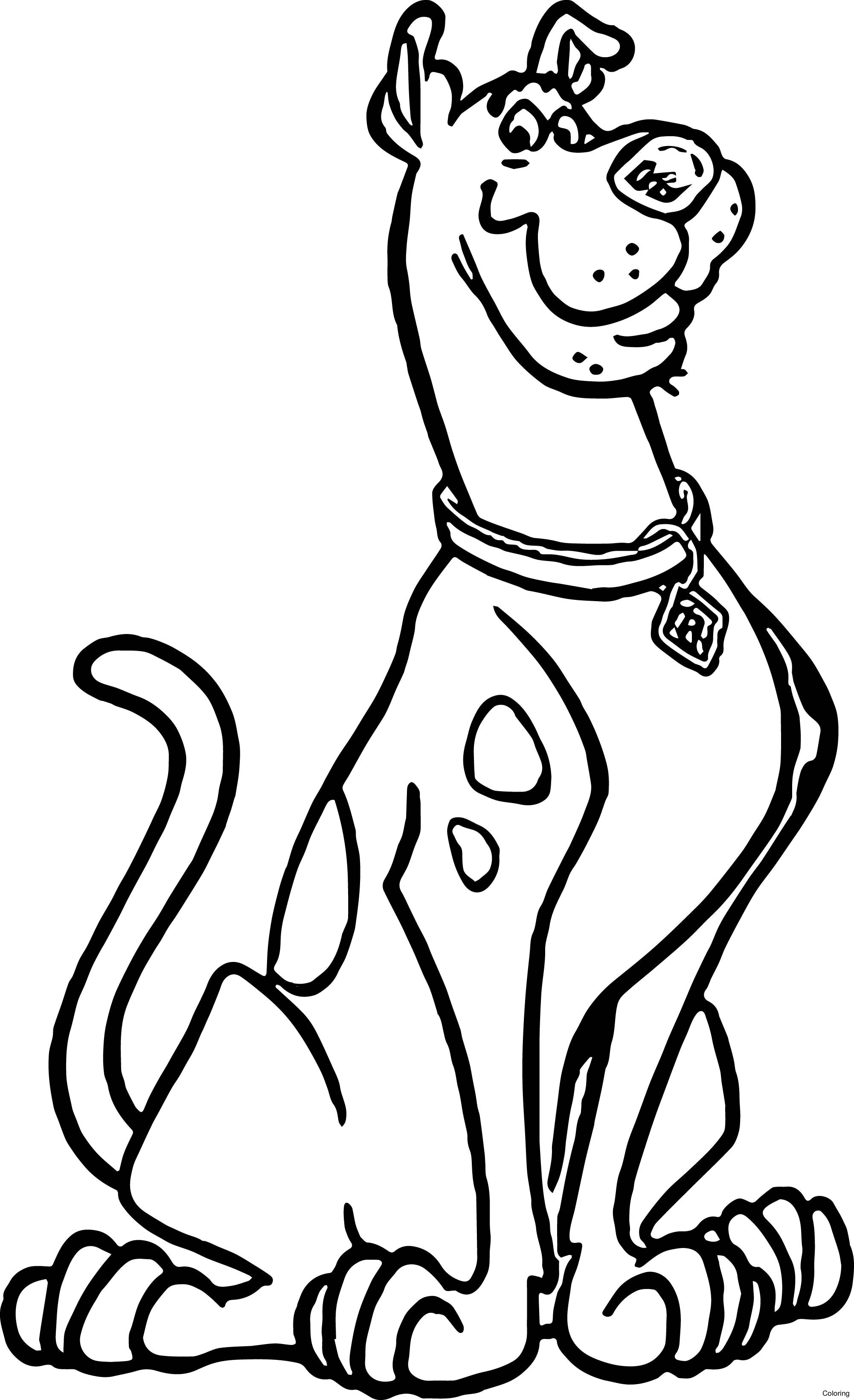 Coloring Pages For Boys Scooby Doo
 10 scooby doo coloring pages