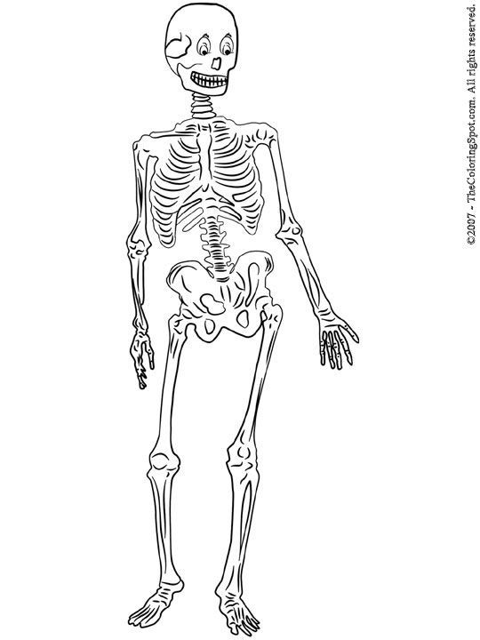 Coloring Pages For Boys Skeletons
 skeleton coloring pages skeleton printable coloring pages