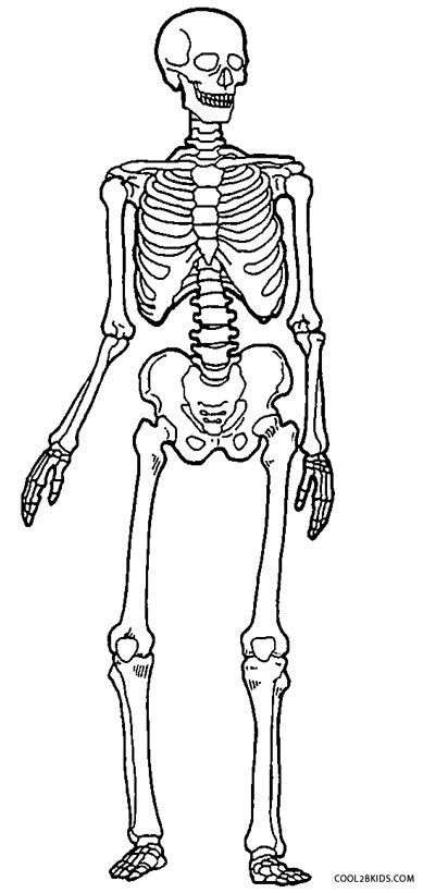 Coloring Pages For Boys Skeletons
 Printable Skeleton Coloring Pages For Kids