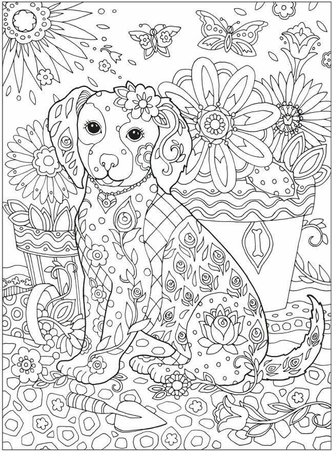 Coloring Pages For Girls Detailed
 Pin by Lena E on Colouring pages