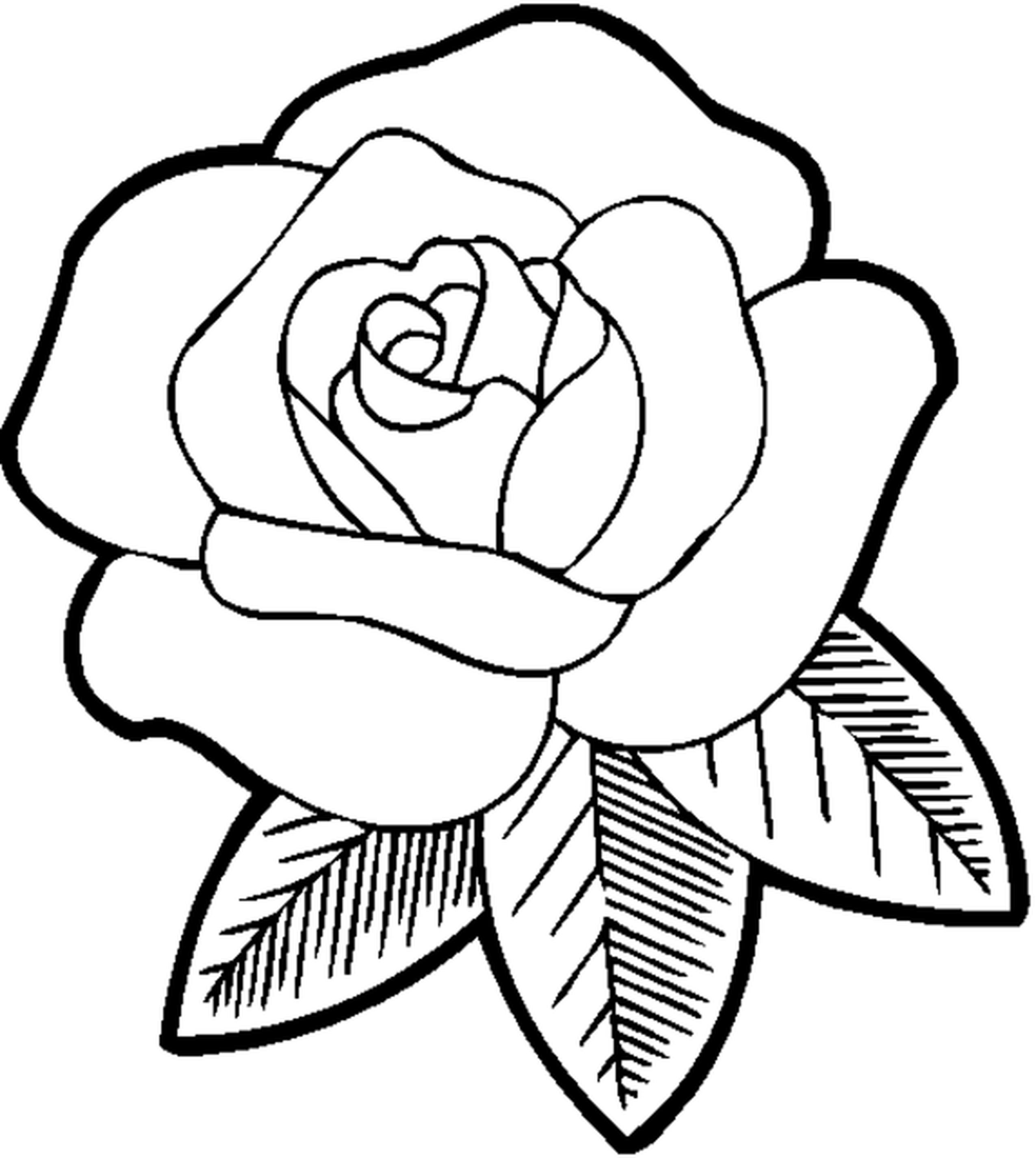 Coloring Pages For Girls Flowers
 Flower Coloring Pages For Teens Coloring Home