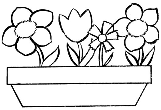 Coloring Pages For Girls Flowers
 Lily Pad Flower Coloring Pages Flower Coloring Pages