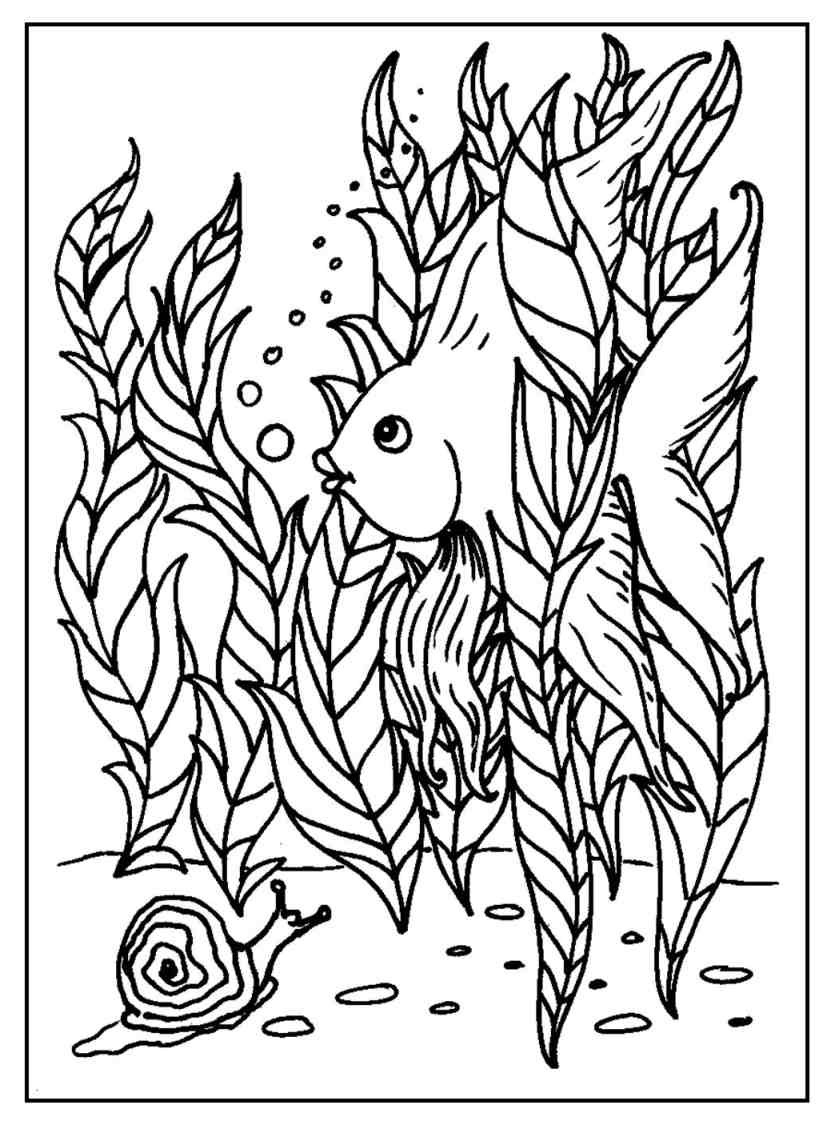 Coloring Pages For Girls Intermidiet
 Funny Fish Coloring Pages – S Mac s Place to Be