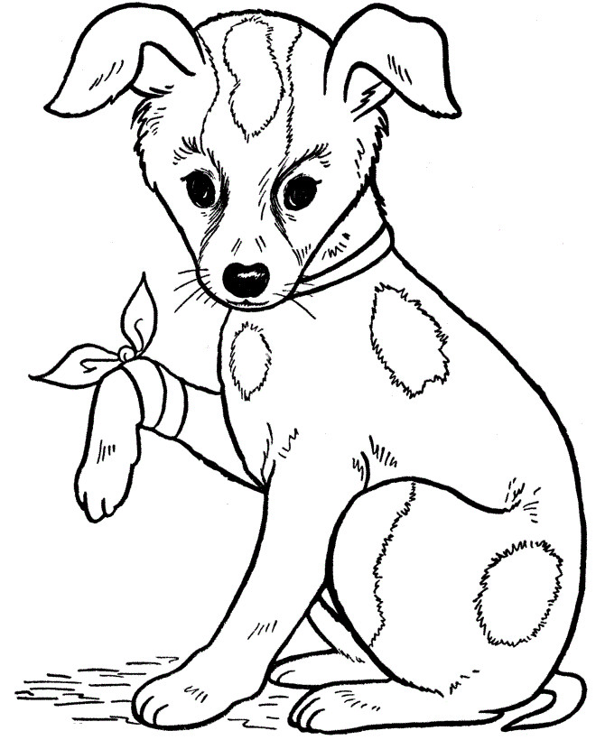 Coloring Pages For Kids Dog
 Free Printable Dog Coloring Pages For Kids