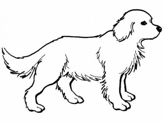 Coloring Pages For Kids Dog
 Free Printable Dog Coloring Pages