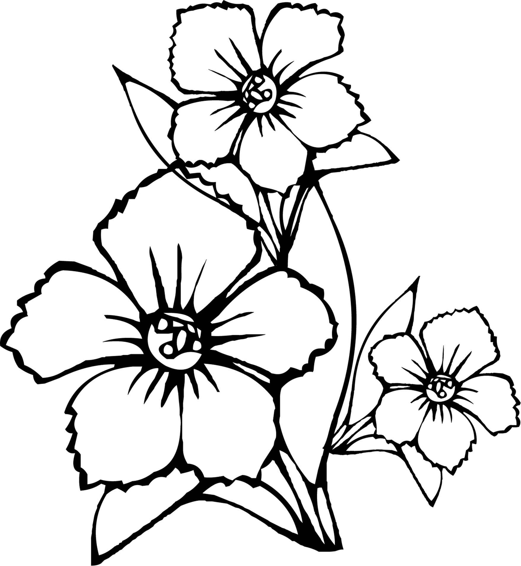 Coloring Pages For Kids Flowers
 Free Printable Flower Coloring Pages For Kids Best