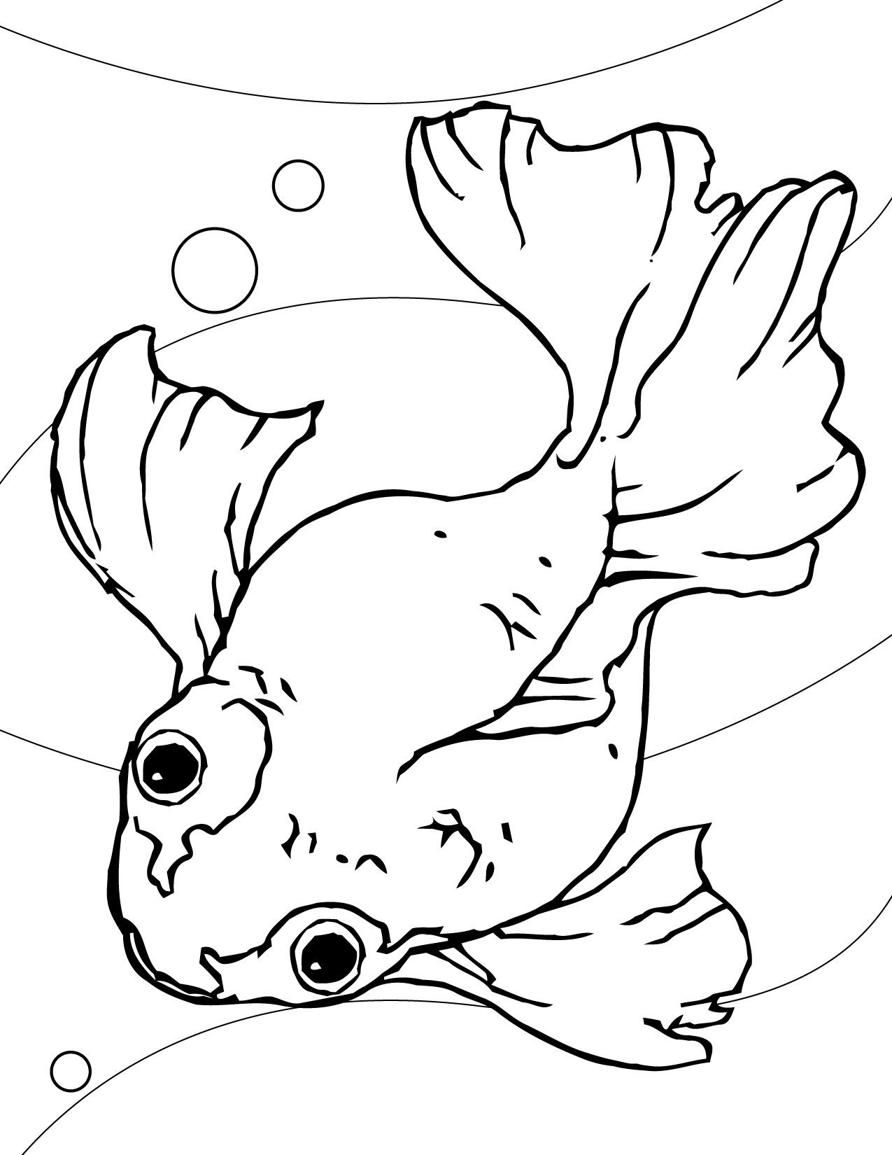 Coloring Pages Of Fish
 Free Printable Goldfish Coloring Pages For Kids