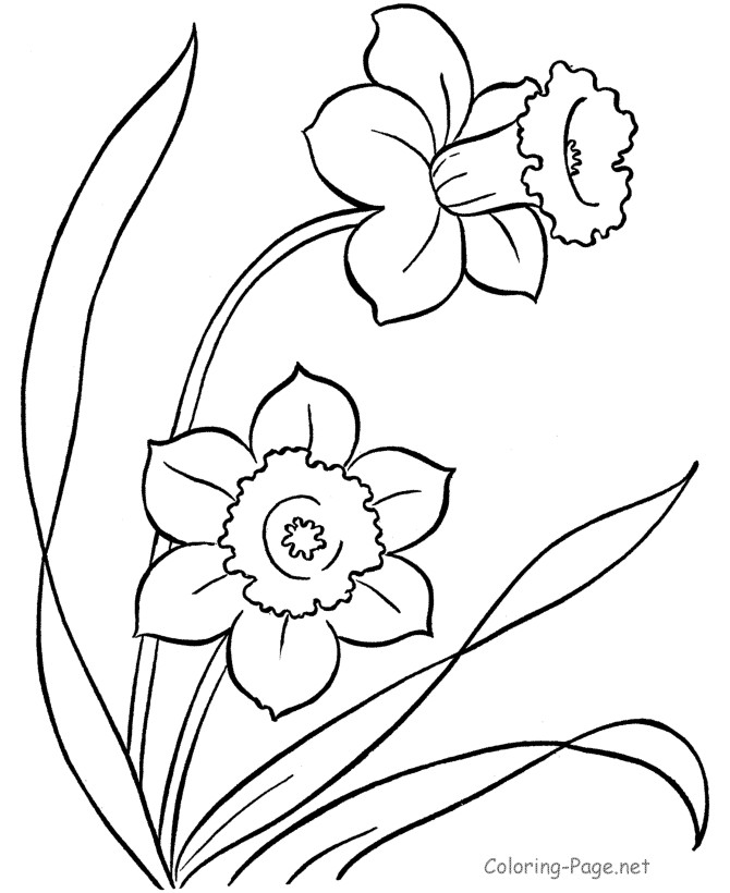 Coloring Pages Of Flowers For Kids
 Printable Flower Coloring Pages Coloring Home