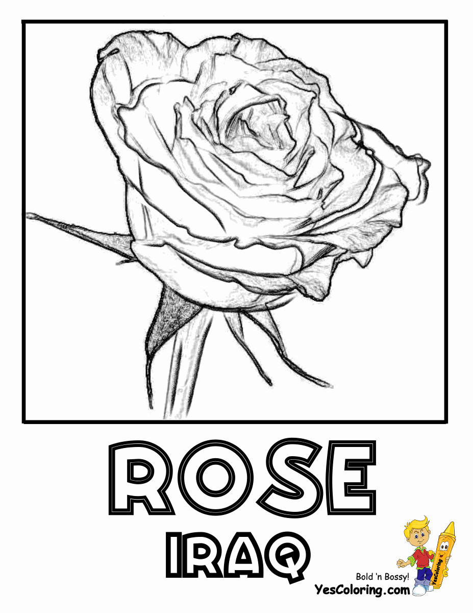 Coloring Pages Of Roses For Boys
 World Flower Coloring Nations Germany Norway