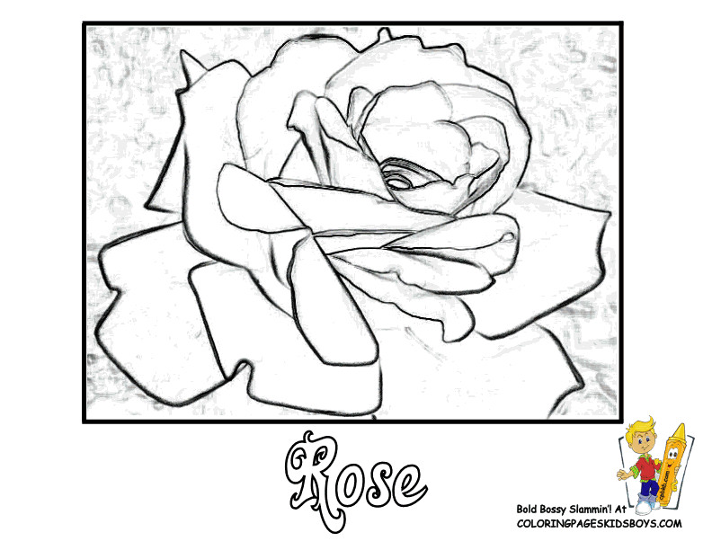 Coloring Pages Of Roses For Boys
 Rose Flowers Coloring Pages Free YesColoring