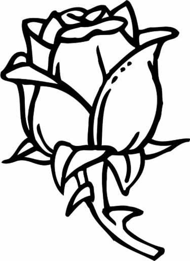 Coloring Pages Of Roses For Boys
 More Roses Coloring Pages