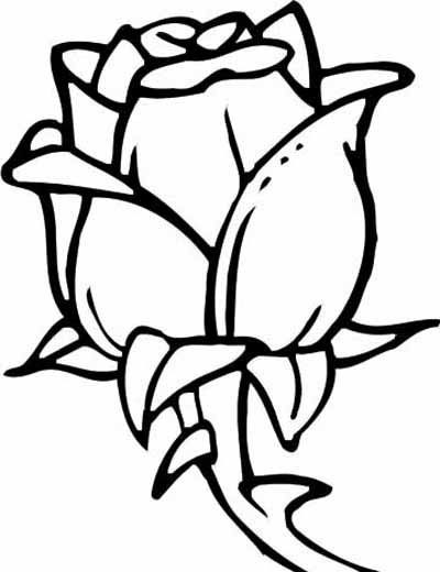 Coloring Pages Of Roses For Boys
 Flower Coloring Pages 2019 Best Cool Funny