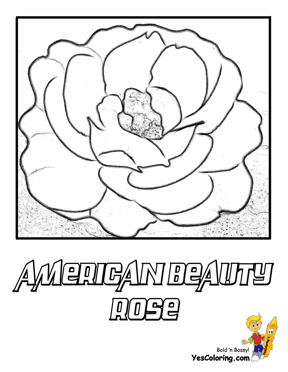 Coloring Pages Of Roses For Boys
 Coloring Flower Flowers of the World