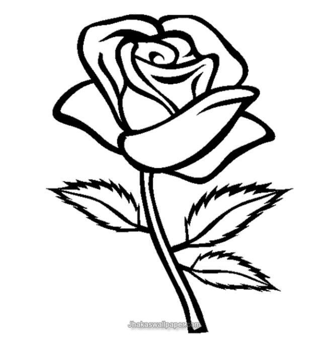Coloring Pages Of Roses For Boys
 Flower Coloring Pages Dr Odd
