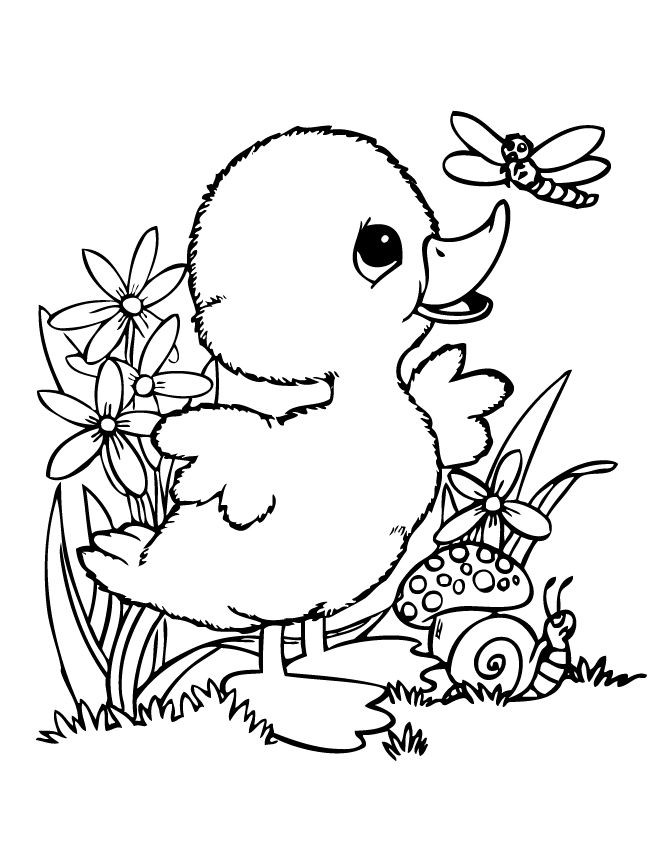 Coloring Sheets For Boys Age 5
 cute baby duck coloring pages Google Search