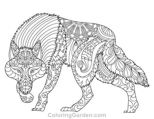 Coloring Sheets Wolves Boys
 Wolf Adult Coloring Page