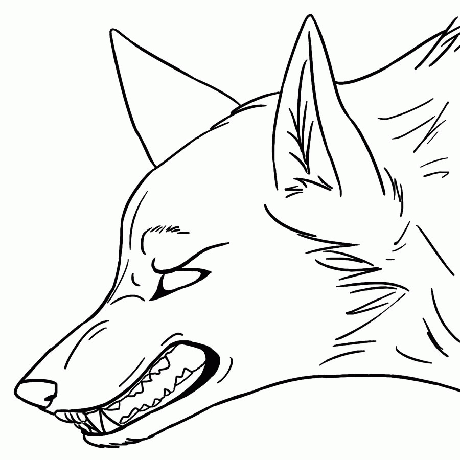 Coloring Sheets Wolves Boys
 Coloring Pages Anime Wolves Coloring Home