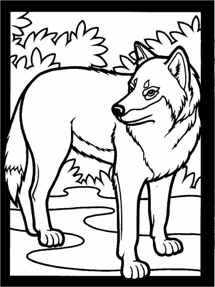 Coloring Sheets Wolves Boys
 Wolf Coloring Pages