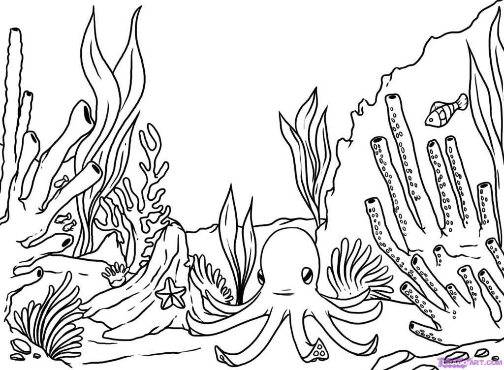 Coral Reef Coloring Pages
 Coral Reef Coloring Page AZ Coloring Pages