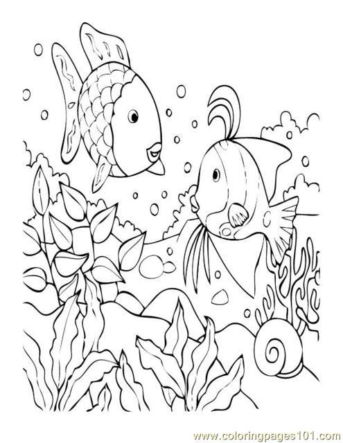 Coral Reef Coloring Pages
 SCI B15 Ecosystem Biome Habitat – Hawkins Market