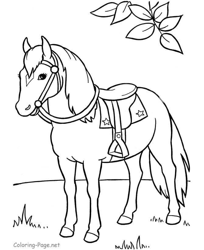 Cowgirl On A Horse Coloring Pages
 Horse coloring pages Saddle horse for B s cowgirl