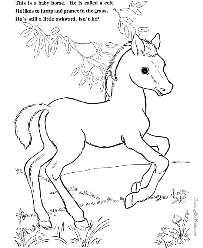 Cowgirl On A Horse Coloring Pages
 Coloring page of horse to print