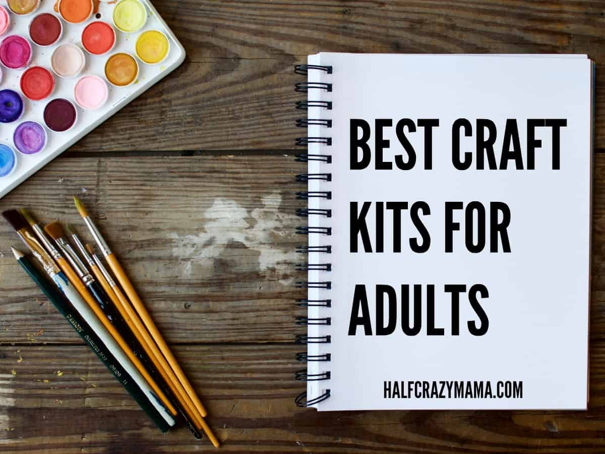 Craft Kits For Adults
 Crafts Archives • Half Crazy Mama