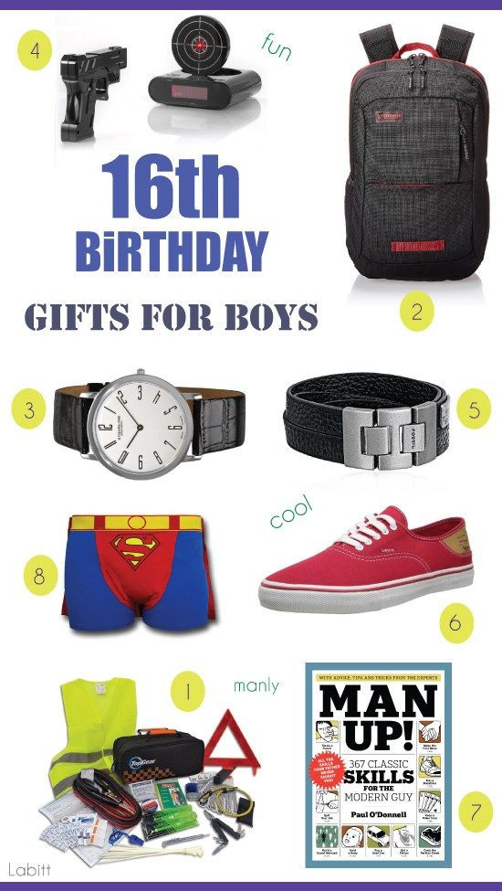 Creative 16Th Birthday Gift Ideas For Boys
 Gifts for 16 Year Old Boys 8 Gift Ideas They ll Love