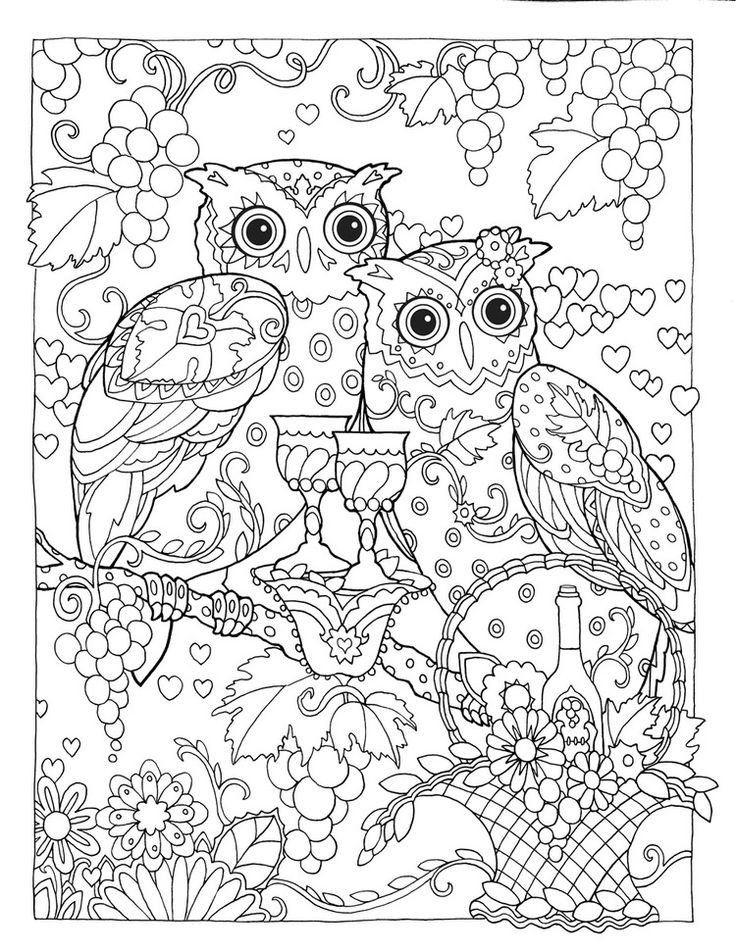 Creative Coloring Books
 Creative Haven Owls Coloring Book by Marjorie Sarnat