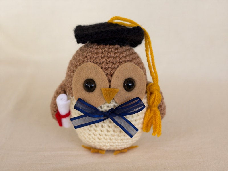 Crochet Graduation Gift Ideas
 Graduation Owl Crochet Pattern Owl Amigurumi Crocheted Bird