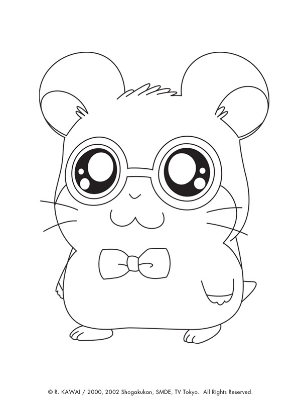 Cute Animals Coloring Pages
 Cute Coloring Pages Animals Coloring Home