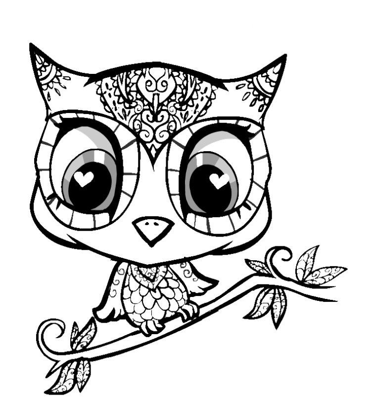 Cute Animals Coloring Pages
 Cute Coloring Pages Animals Coloring Home
