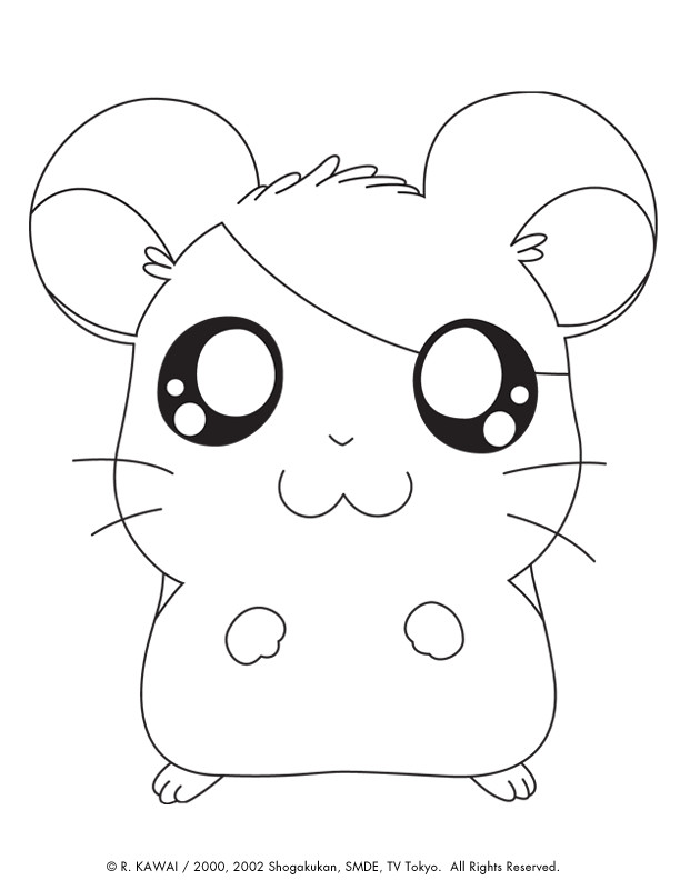 Cute Animals Coloring Pages
 Hamtaro Cute Animals Coloring Pages