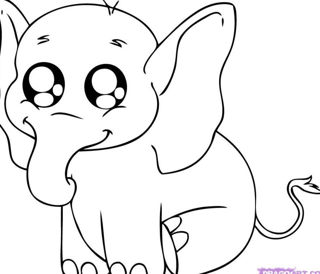 Cute Baby Animal Coloring Pages Printable
 Printable animal coloring pages 13 Sheets