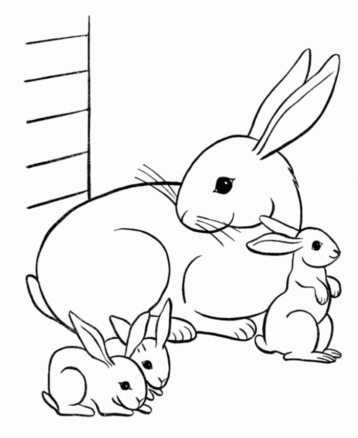 Cute Baby Animal Coloring Pages Printable
 Cute Coloring Pages Baby Animals Coloring Home
