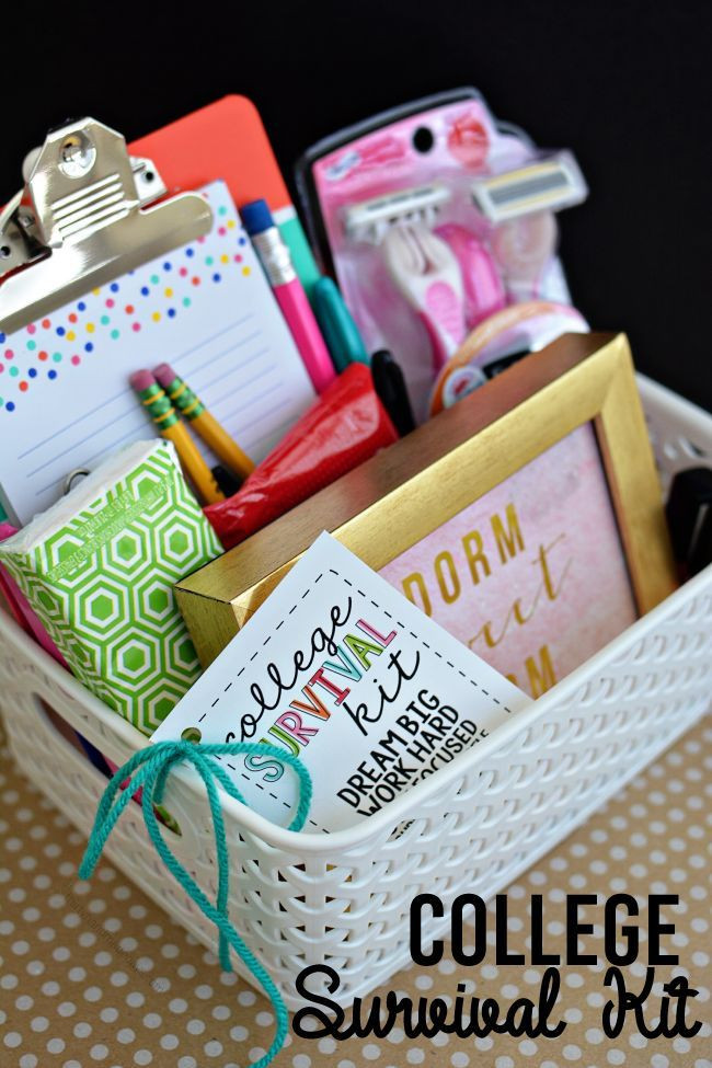 Cute Gift Basket Ideas
 College Survival Kit with Printables