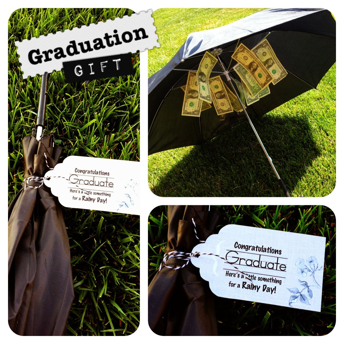 Cute Graduation Gift Ideas
 Larcie Bird Graduation Gift