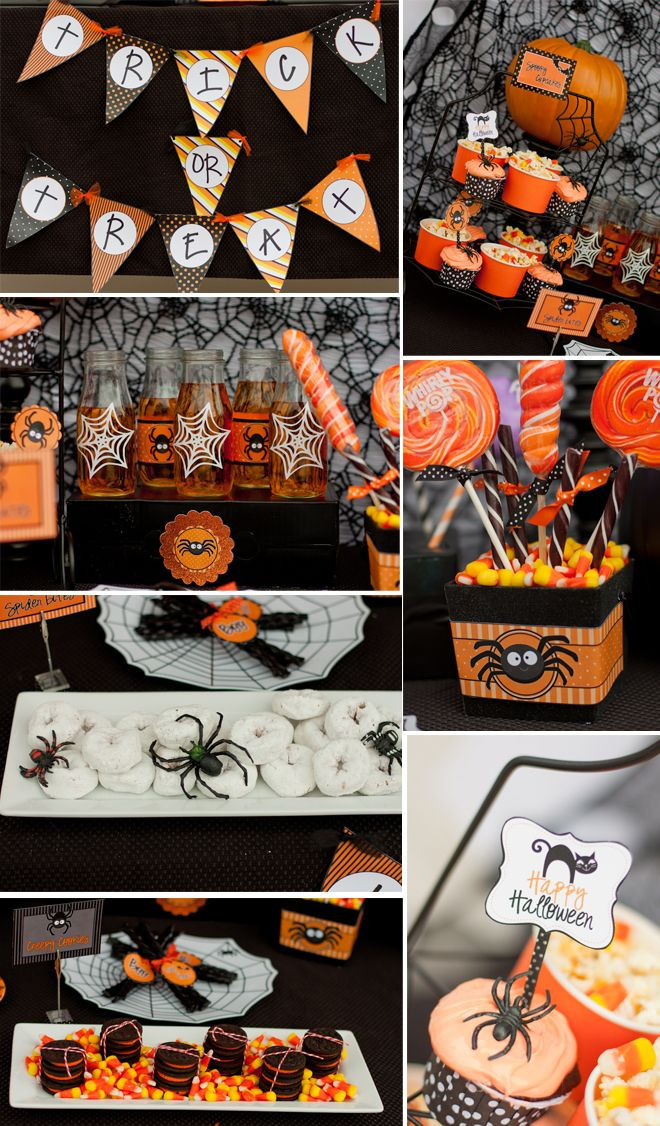 Cute Halloween Party Ideas
 Cute Halloween Spider Spooky Cute Halloween Party in
