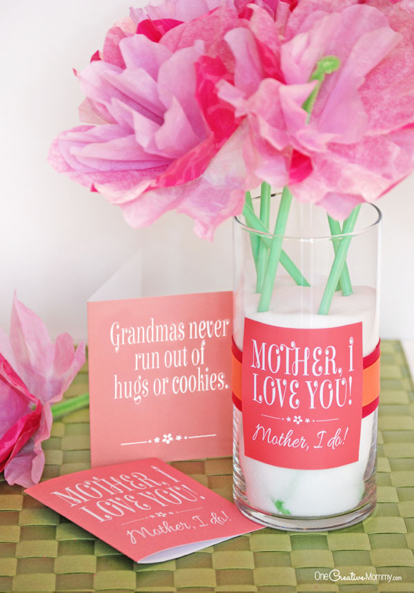 Cute Mothers Day Gift Ideas
 Cute Mother s Day Gift Idea and Printables