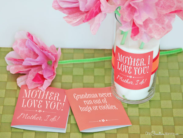 Cute Mothers Day Gift Ideas
 Cute Mother s Day Gift Idea and Printables