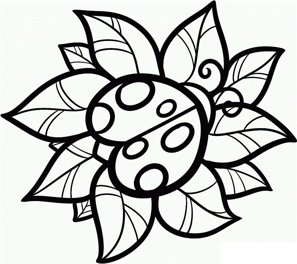 Cute Printable Coloring Pages
 Free Printable Ladybug Coloring Pages For Kids